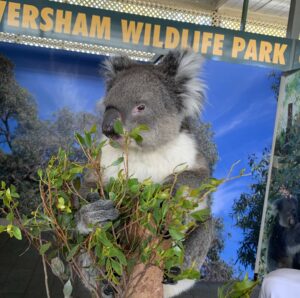 ホストファミリーと動物園へ