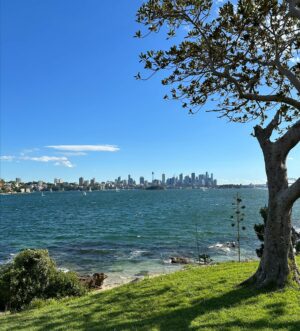 View from Shark Island